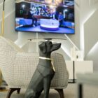 Fully Furnished Luxury 3 Bedroom Apartment At Cantonments Accra For Rent - Living Area 1