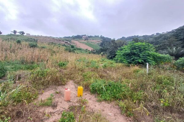land 4