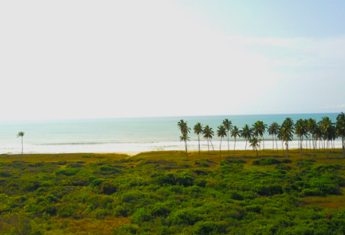 Screenshot 2026-04-09 at 2.02.50 PM